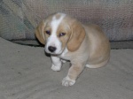 Highlight for Album: Age 6weeks 6days