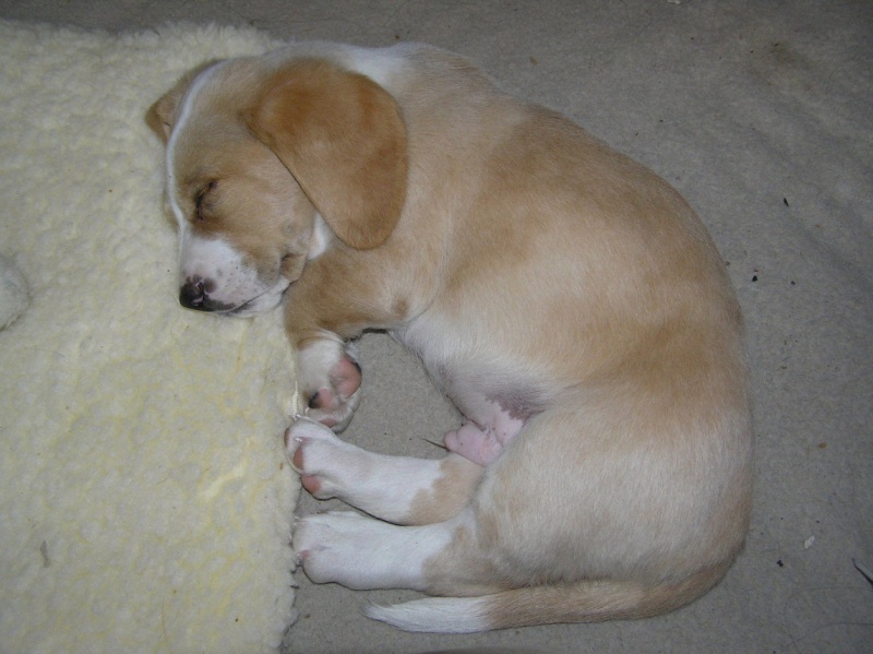 Buster 010