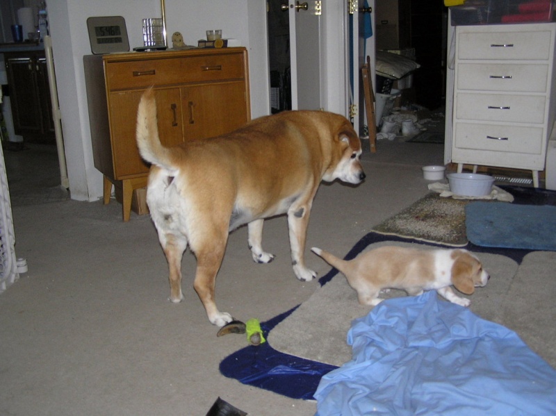 Buster 012