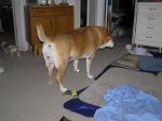 Buster 013