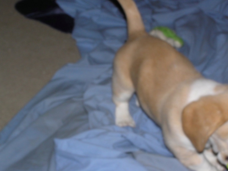 Buster 015