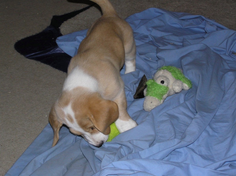 Buster 016