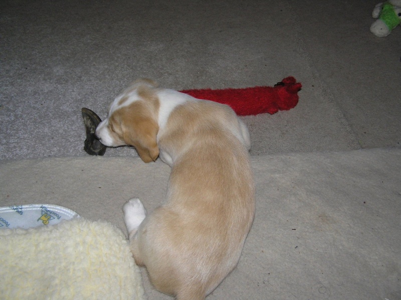 Buster 024