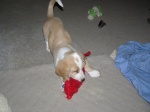 Buster 025