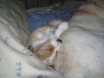 Buster 033