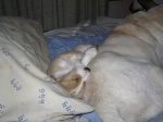 Buster 034