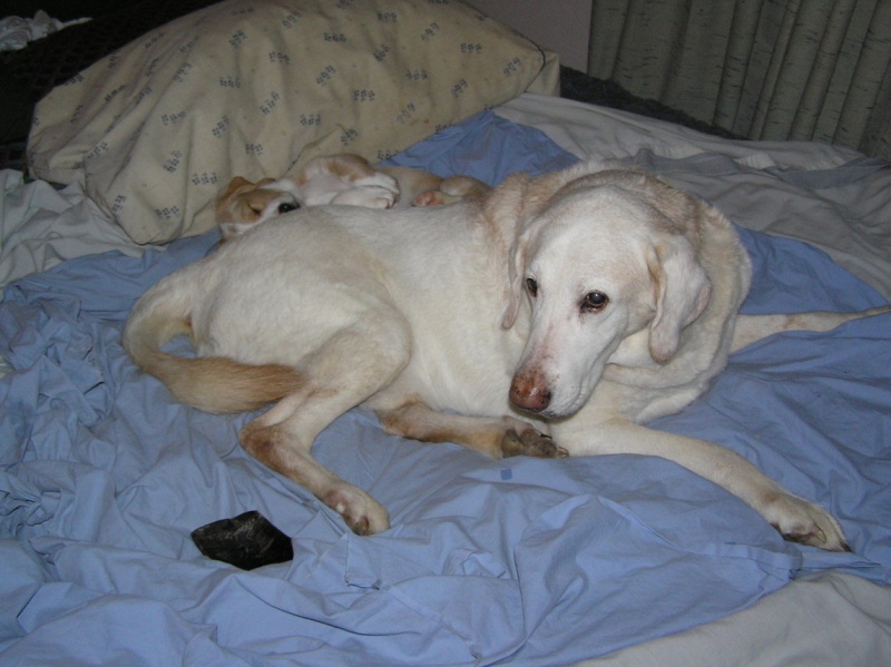 Buster 035