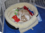 Buster 036