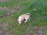 Buster 042