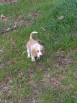 Buster 043