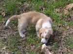 Buster 045