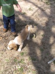 Buster 048