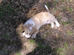 Buster 050