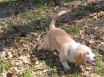 Buster 053