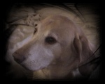 Ranulf_4_011